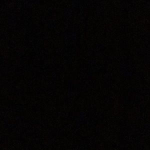 Meet your Posher, Bertha